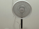 格力（GREE）【雙層擴風(fēng)扇葉】立式電風(fēng)扇大風(fēng)量家用落地扇廣角搖頭定時(shí)遙控電扇臺地兩用落地扇 FSZ-30X65Bg7 曬單實(shí)拍圖