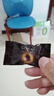 歌帝梵（Godiva）經(jīng)典大師夾心黑巧克力351g 休閑零食 喜糖伴手禮 生日禮物 下午茶 曬單實(shí)拍圖