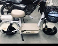 飛鴿E75智能電動(dòng)自行車(chē)45公里長(zhǎng)續(xù)航電動(dòng)車(chē)鉛酸電池48V12Ah電瓶車(chē)新國(guó)標(biāo)上班代步小電驢源彩青竹綠 曬單實(shí)拍圖