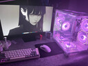 華碩品牌 酷睿i5 12600KF/14600KF RTX4060/5060/5060ti/5070游戲主機(jī)電腦臺(tái)式機(jī)組裝電腦渲染DIY整機(jī) 配六i5 14600KF+華碩5060TI 曬單實(shí)拍圖