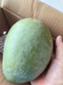 正宗凱特芒果 肉厚甜心芒熱帶當季新鮮水果整箱 帶箱2斤單果300g+ 曬單實(shí)拍圖