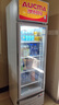 澳柯瑪237大容量立式單門商用冷藏展示柜 超市飲料啤酒保鮮冷柜 陳列冰柜冰箱 風(fēng)冷循環(huán)一級(jí)能效 SC-237 曬單實(shí)拍圖