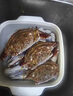 舟山梭子蟹鮮活特大野生大螃蟹新鮮冷凍海鮮水產(chǎn)海蟹飛蟹白蟹順豐 7-9兩/只【5斤凈重 特大肥壯】 曬單實(shí)拍圖