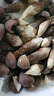 京鮮生云南鮮菌菇【新鮮黑皮雞樅菌】 凈重1斤 煲湯火鍋食材 源頭直發(fā) 曬單實(shí)拍圖