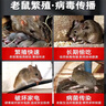 楚婕雅強力粘鼠板老鼠貼超粘板加厚滅鼠老鼠一窩端驅鼠神器家用黏鼠10片 曬單實(shí)拍圖