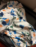 MOLOON男士泳衣短袖花襯衫沙灘服三亞夏威夷風(fēng)旅游度假情侶夏季薄款套裝 套裝B款 XL （建議125-145斤） 曬單實(shí)拍圖