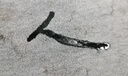 李寧冰感舒適束腳衛(wèi)褲男夏季新款跑步透氣健身寬松運(yùn)動(dòng)褲AKLU823 曬單實(shí)拍圖
