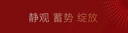 銘聚布藝幻影紗簾 透光不透人客廳陽(yáng)臺掛鉤白色窗紗2.5米寬*2.4米高1片 曬單實(shí)拍圖