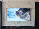 飛利浦（PHILIPS）75英寸MiniLED游戲壁畫(huà)藝術(shù)電視 288Hz護眼屏4+64G智能平板75PML9099/T3一級能效政府補貼20% 曬單實(shí)拍圖