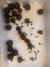 【墨明珠黑番茄】黑玫瑰番茄紫龍樊圣女果紫瓤紫色汁水水果小柿子 墨明珠小番茄 5斤 凈重 富含花青素的小番茄 曬單實拍圖