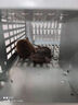 愛(ài)力維捕鼠籠高效老鼠神器家用大號滅撲捉連續全自動(dòng)滅鼠器耗子夾克星 加厚【雙門(mén)大號籠+1誘餌】 曬單實(shí)拍圖