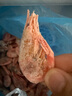 京東超市 海外直采 熟凍腹籽北極甜蝦3斤 大號(80-100規格) 解凍即食 曬單實(shí)拍圖