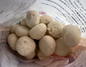 大希地老面小籠包 1500g 約60個(gè) 鮮肉內餡 嵊州風(fēng)味 早餐半成品 曬單實(shí)拍圖
