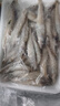 深海野生小沙丁魚(yú) 深海捕撈無(wú)添加高DHA低脂 500g/盒一斤40條左右 野生沙丁魚(yú)凈重4斤 曬單實(shí)拍圖