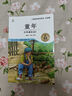 全套3冊 愛(ài)的教育小英雄雨來(lái)童年書(shū)高爾基原著(zhù)完整版快樂(lè )讀書(shū)吧推薦小學(xué)生六年級上冊課外閱讀書(shū)必讀正版書(shū)目小學(xué)老師經(jīng)典書(shū)籍魯濱遜漂流記六年級下冊 【全3冊】六年級上冊必讀正版(京東圖書(shū)聯(lián)合定制款) 曬單實(shí)拍圖