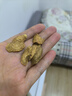丙田 黃金牛蒡茶510克 大片鮮牛蒡根發(fā)酵 熟牛滂干牛旁粉牛磅荼牛榜子 曬單實(shí)拍圖