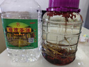 極度空間玻璃罐泡酒瓶10斤裝泡酒容器密封罐腌咸菜罐泡菜壇子泡酒罐泡酒壇 曬單實拍圖