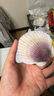 獐子島 冷凍蒜蓉粉絲扇貝400g 12只 蝦夷扇貝 燒烤食材 海鮮 生鮮 曬單實(shí)拍圖
