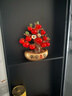 赟婭蘋(píng)果元寶樹(shù)平安喜樂(lè )擺件客廳玄關(guān)電視柜高檔家居喬遷裝飾開(kāi)業(yè)送禮 金元寶蘋(píng)果樹(shù)+燈圈 曬單實(shí)拍圖