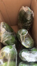 東北正宗旱黃瓜帶刺脆皮小青瓜新鮮蔬菜水果綠黃瓜單根≥90g 5斤 曬單實拍圖