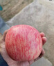 沂蒙山旮旯沂源紅蘋(píng)果富士蘋(píng)果綠色食品認證脆甜多汁山泉灌溉辦公家居零食 沂源紅蘋(píng)果80-85# 4.5-5斤(凈重4.5斤) 曬單實(shí)拍圖
