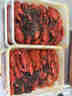 1號會(huì )員店（One's Member）蒜香小龍蝦2.4斤(6-9錢(qián))大號15-19只/600g*2盒【山姆同廠(chǎng)】贈面條 曬單實(shí)拍圖