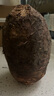探味君 廣西荔浦大芋頭 現(xiàn)挖粉糯大香芋 新鮮蔬菜 3斤凈重2.8斤 中芋（單果250g起） 曬單實(shí)拍圖