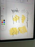 Apple/蘋果 Pencil(USB-C)磁吸觸控筆手寫筆蘋果筆電容筆適用于新iPad mini/Pro (M4)/Air (M2)/iPad11 曬單實(shí)拍圖