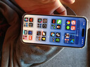 iPhone 14 ProMax 【24期免息】蘋(píng)果14promax 國行 5G 蘋(píng)果二手手機 暗紫色【80%用戶(hù)選擇】 99新256G 【性能/性?xún)r(jià)比推薦】3期免息 三年老店+五星店鋪+一年質(zhì)保 曬單實(shí)拍圖