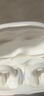 MICROKIA【2025最新款丨金榜第1名】藍牙耳機耳夾式骨傳導(dǎo)概念開放式無線不入耳運動跑步游戲通話降噪掛耳 霜雅白丨APP升級版丨久戴不傷耳 柏林之聲|適用于蘋果小米榮耀 曬單實拍圖