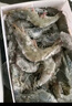 京鮮港 厄瓜多爾白蝦凈重3斤加大號45-60只/盒大蝦鹽凍家庭聚餐燒烤 曬單實拍圖