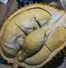 【保4房肉】A級(jí)進(jìn)口金枕鮮榴蓮1粒2-2.5kg(M) 曬單實(shí)拍圖