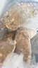 舟山梭子蟹鮮活特大野生大螃蟹新鮮冷凍海鮮水產(chǎn)海蟹飛蟹白蟹順豐 7-9兩/只【5斤凈重 特大肥壯】 曬單實拍圖