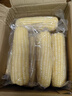 思念灌湯豬肉白菜水餃2.5kg150只 早餐速食食品兒童水餃速凍餃子 曬單實拍圖