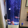 魚(yú)之眼魚(yú)缸氣泡條增氧氣泵散氣簾增氧機充氧泵瀑布式造景裝飾霧化氣泡石 白色細化氣條70cm 曬單實(shí)拍圖