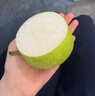 京覓 碭山青皮蜜梨 單果200g起 凈重4.5斤起 生鮮水果 源頭直發(fā)  曬單實(shí)拍圖