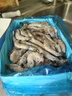 美加佳南美白蝦無(wú)冰凈重3斤 規格40/50 單凍大蝦 家庭聚餐  海鮮水產(chǎn) 曬單實(shí)拍圖