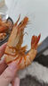 北海灣 九節(jié)蝦干 特大即食烤蝦干大對蝦干斑節(jié)蝦干海產(chǎn)干貨風(fēng)干A2大烤蝦 九節(jié)蝦干【約55只】凈重250g 曬單實拍圖