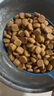 伯納天純狗糧中大型犬全價(jià)成年犬糧17kg羊肉蔓越莓味 曬單實(shí)拍圖
