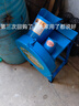電動(dòng)豬草機(jī)切草機(jī)碎草機(jī)雞鴨鵝豬養(yǎng)殖小型家用青飼料鍘草機(jī)粉碎機(jī) 38cm雙刀切草機(jī)+加大電機(jī) 曬單實(shí)拍圖