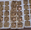 正宗農家土雞蛋柴雞蛋笨雞蛋谷物蛋營養(yǎng)生鮮健康新鮮雞蛋現(xiàn)撿現(xiàn)發(fā) 【囤貨30枚】農家土雞蛋 曬單實拍圖
