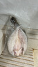 鮮京采三去海鱸魚3斤/3條 生鮮魚類 白蕉鱸魚地標(biāo) 無冰凈重3斤 源頭直發(fā) 曬單實(shí)拍圖