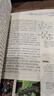 昆蟲記（世界文學(xué)名著拓展閱讀:名師導(dǎo)讀版） 曬單實(shí)拍圖