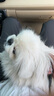 寶路狗糧全犬種通用全價(jià)糧成犬狗糧中小型犬牛肉味7.5kg【原料透明】 曬單實(shí)拍圖