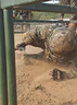 巴邁爾戰術(shù)護膝護肘爬行新兵訓練套裝軍訓運動(dòng)裝備護具加厚透氣防摔防撞 曬單實(shí)拍圖