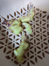 農多鮮 云南小黃姜 新鮮蔬菜現挖現發(fā)調味料火鍋食材 產(chǎn)地直供 凈重小黃姜5斤 云南小黃姜 曬單實(shí)拍圖