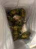 百味殿【活鮮】生蠔 乳山牡蠣 新鮮海蠣子生鮮貝類(lèi) 【90%選擇】4XL帶箱5斤(8-10只) 曬單實(shí)拍圖