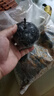 東北凍梨 正宗特產(chǎn)凍梨大黑梨 凈重5斤 大果230g起 曬單實拍圖