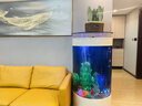 華麗水族魚(yú)缸客廳家用立式小型落地靠墻智能一體缸自循環(huán)免換水生態(tài)水族箱 黑色 70*50*138cm【長(cháng)-寬-高】 曬單實(shí)拍圖