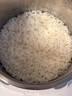 松下（Panasonic）【國(guó)家補(bǔ)貼】飯光光PRO電飯煲0涂層家用3-6人無(wú)涂層不銹鋼內(nèi)膽IH煮飯鍋3.8升可變壓力HXS151 曬單實(shí)拍圖